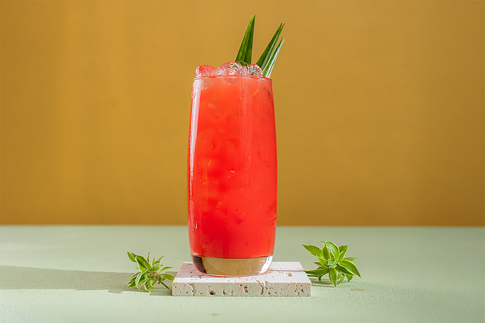 Nước Ép Dưa Hấu